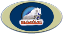 Equiworld