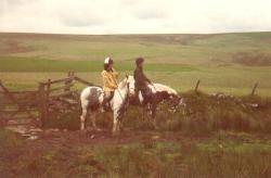 The Exmoor Holiday Group