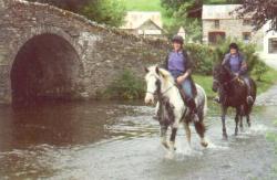 The Exmoor Holiday Group