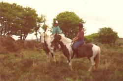 The Exmoor Holiday Group