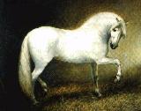  A beautiful painting of a Grey Stallion in a Stable by Jose Manuel Gomez. The BAPSH would like to thank Sr Gomez for the kind use of his painting