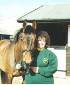 Equine Sports Massage