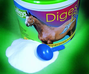 Digest Plus