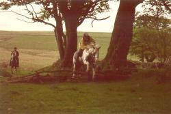 The Exmoor Holiday Group