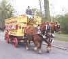 The Suffolk Punch