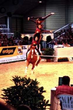 Vaulting