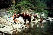 california horseback riding