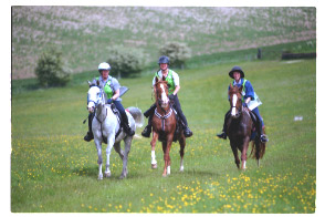 Endurance Riding