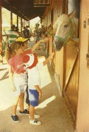 Meeting the horses at Berke Ranch