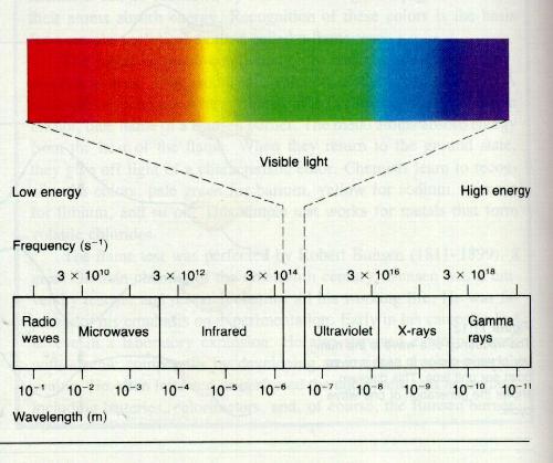 The Light Spectrum