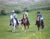 Endurance Riding