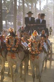 Jerez Horse Fair 2001