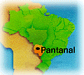 Pantanal