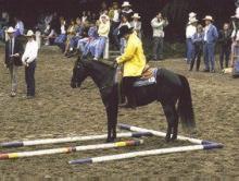 A Trail Riding Class